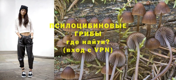 гидра Лабытнанги