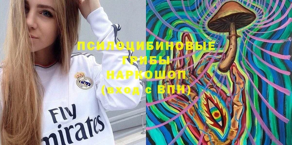 гидра Лабытнанги