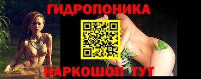 хмурый Гусев