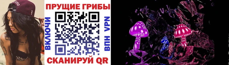omg вход  Люберцы  Галлюциногенные грибы Magic Shrooms  закладки 