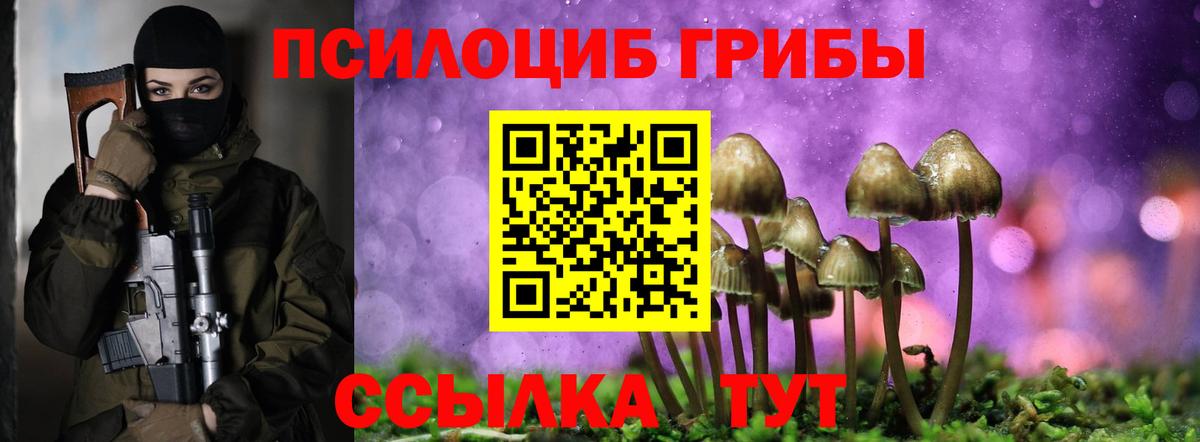 Галлюциногенные грибы Psilocybine cubensis Люберцы