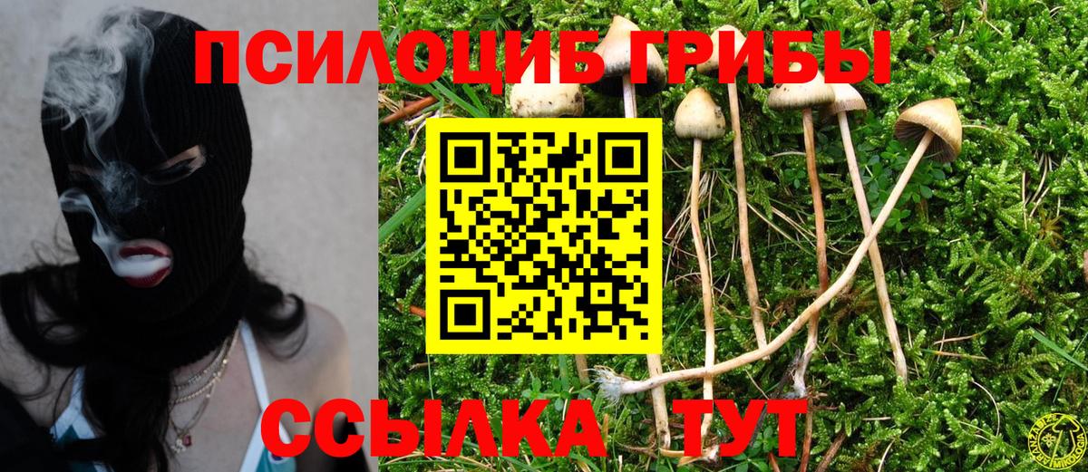 Псилоцибиновые грибы Psilocybine cubensis  Вход с VPN  купить закладку  Люберцы 